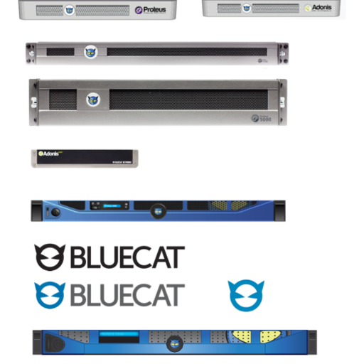 BlueCat Networks