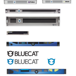 BlueCat Networks