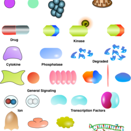 Proteins and cells parts