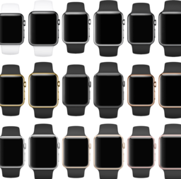 Apple Watch Hardware